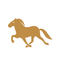 Pony